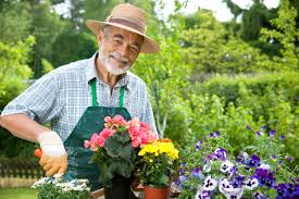 Gardener